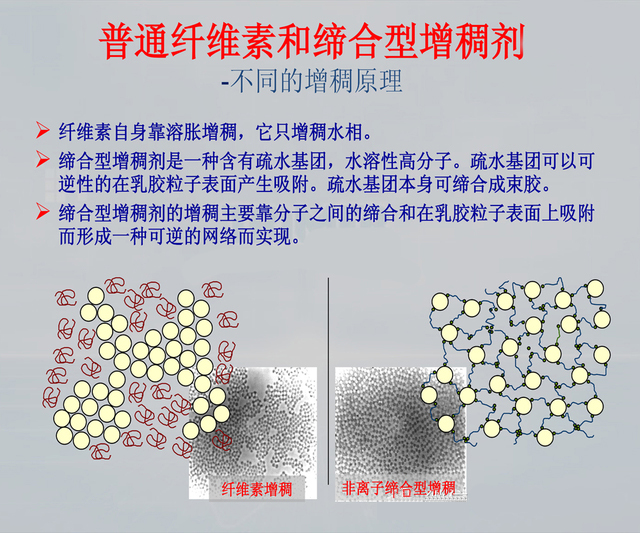 增稠劑3030,水性增稠劑3030,非離子增稠劑,締合增稠劑,聚氨酸增稠劑,羥乙基纖維素,陶氏羥乙基纖維素,陶氏QP100,美國陶氏HEC